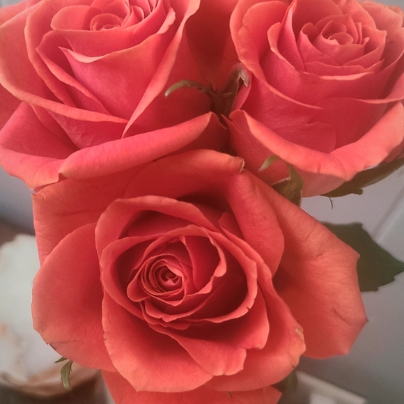 Meet your Posher, Andrea - Picture 1 of 1